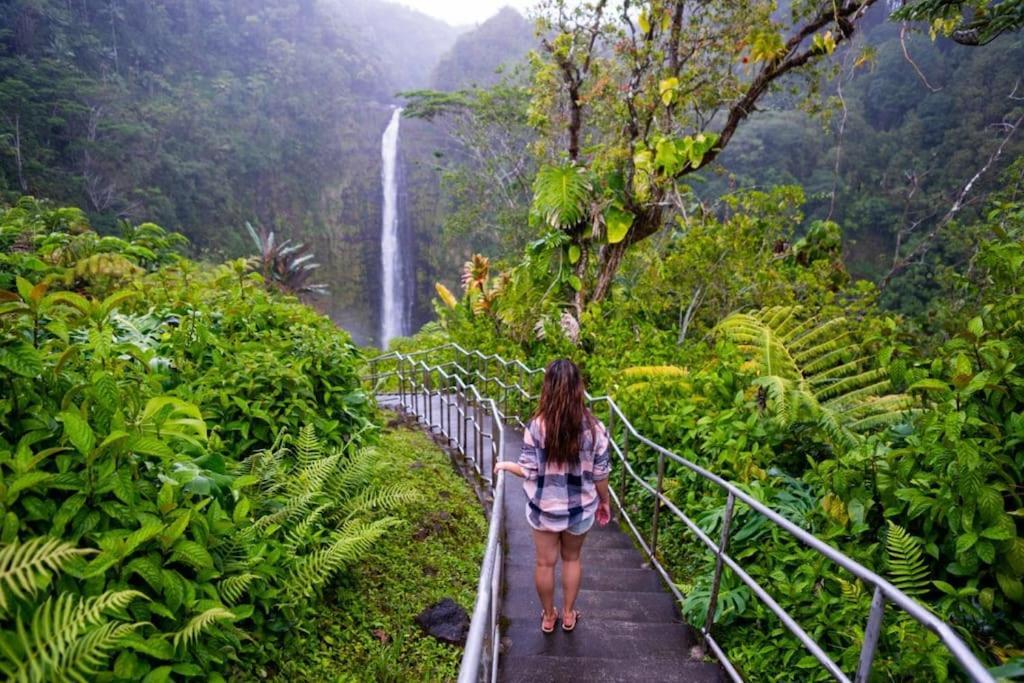 The Honomu House - Gorgeous, Spacious 4Bd2Ba Home Near Waterfalls And Hilo, Sleeps 12! Kültér fotó