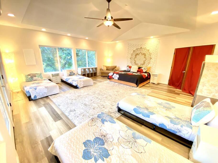 The Honomu House - Gorgeous, Spacious 4Bd2Ba Home Near Waterfalls And Hilo, Sleeps 12! Kültér fotó